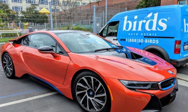 birds auto detail and ceramic coatings los angeles