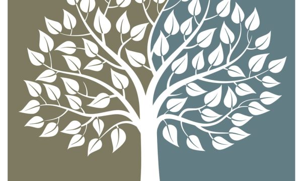 brentwood neighborhood church brentwood