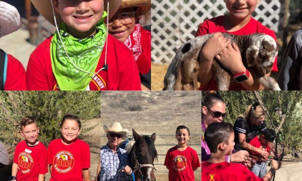 calicinto ranch san jacinto