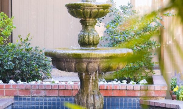 christian counseling center san jose san jose 5