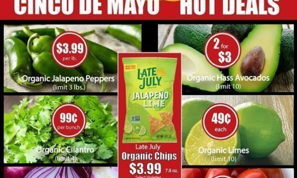 clarks nutritional centers chino