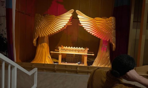 creation and earth history museum santee