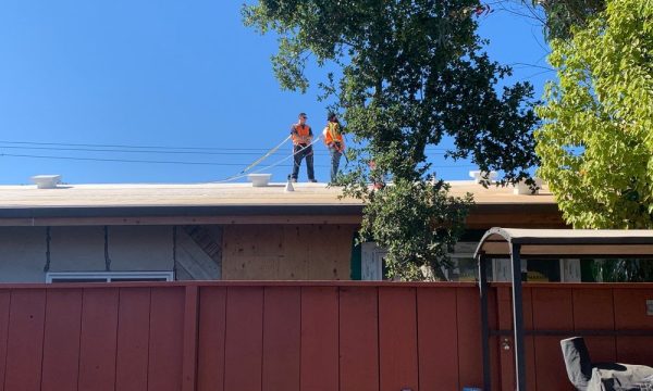 fellowship bible church belmont