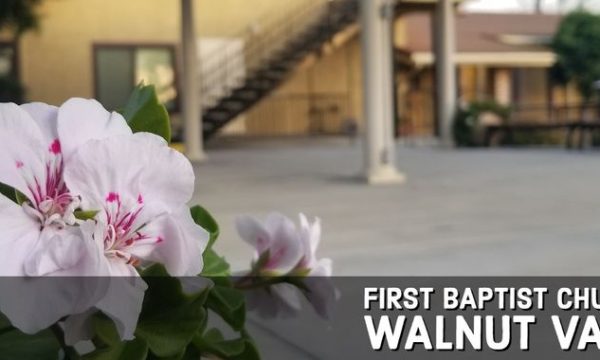 first baptist church of walnut valley walnut
