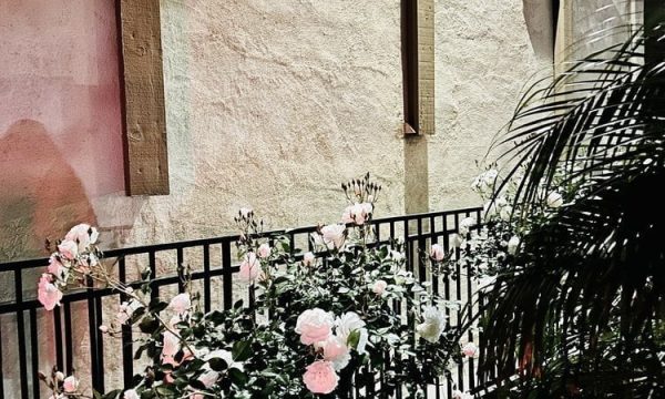 grace chapel rosemead