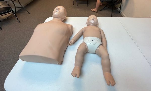 hands to heart cpr burbank 2