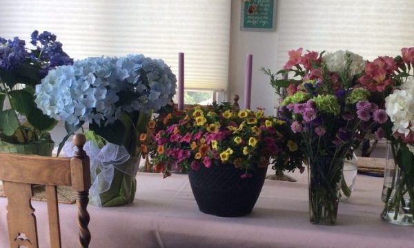 hillside alliance church hayward