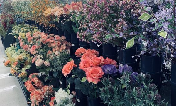 hobby lobby riverside