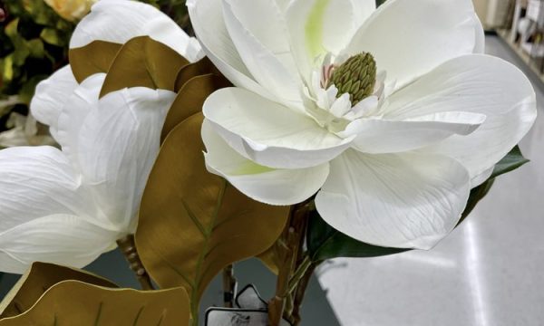 hobby lobby santa ana 2