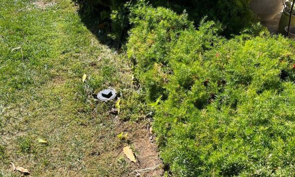 home improvement services tarzana