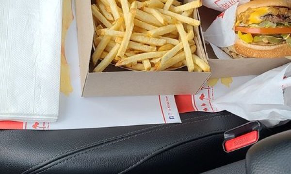 in n out burger panorama city