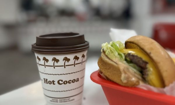 in n out burger santa ana 14