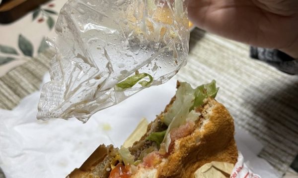 in n out burger santee