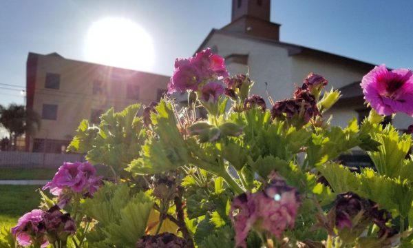 inglewood southside christian church inglewood