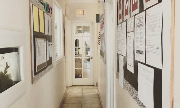 international christian montessori academy of orange orange