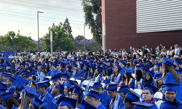 irvine valley college irvine