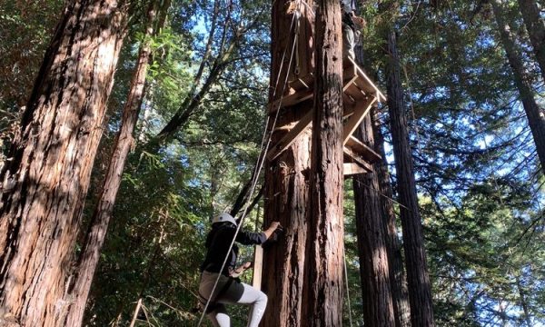 koinonia conference grounds watsonville