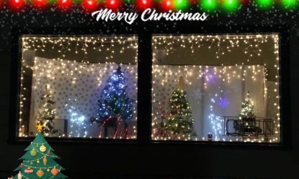 lisas book nook redding