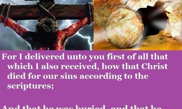 new birth christian ministry center hayward