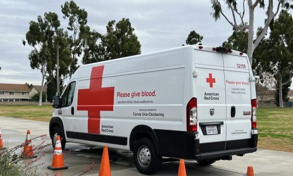 new life community church artesia