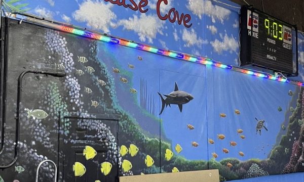 paradise skate roller rink antioch 2