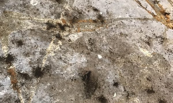 puroclean of palm desert palm desert