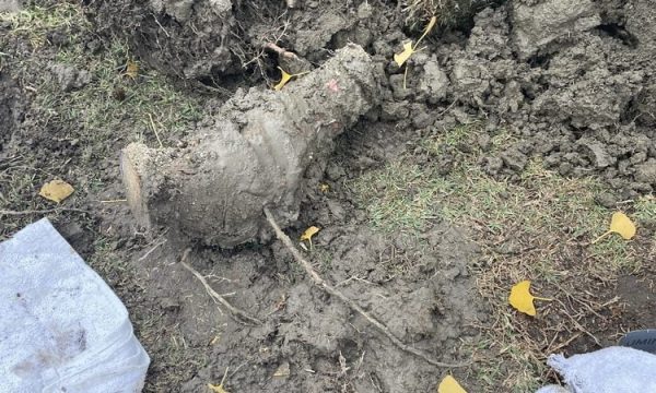 quality plumbing bellflower