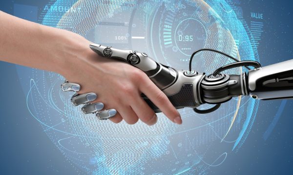 sandiweb lemon grove