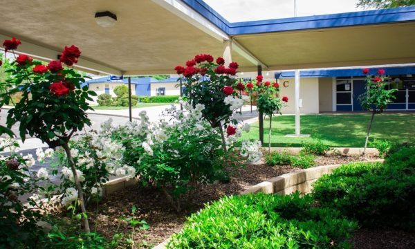 sonrise christian school covina 4