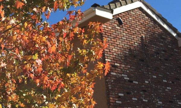 sunland neighborhood church sunland