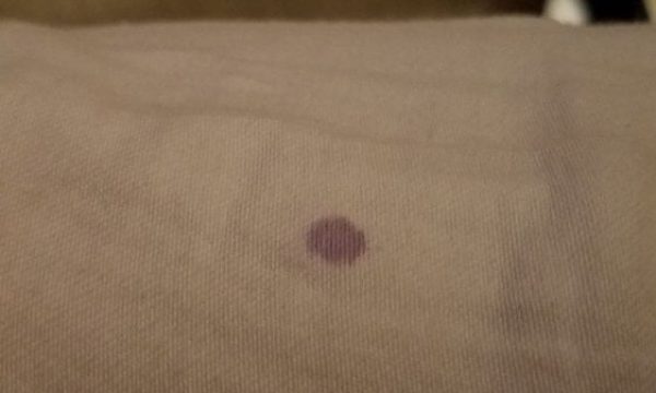 terminix san bernardino 3