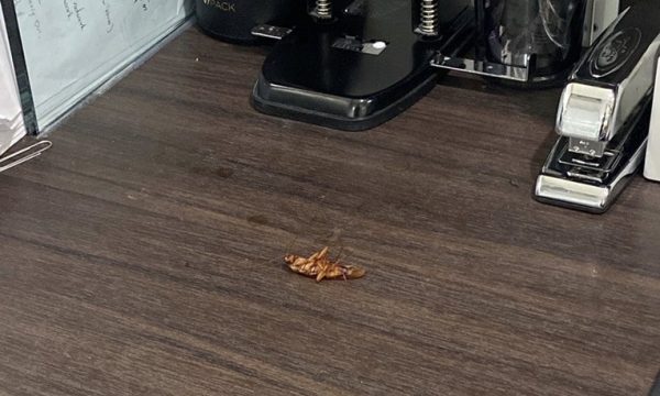 terminix west hollywood