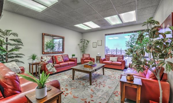 the bridges of san diego la mesa