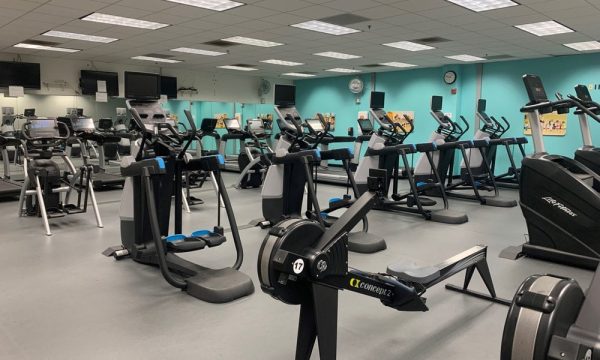 torrance south bay family ymca torrance