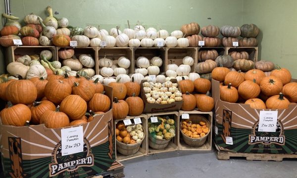 whole foods market santa monica