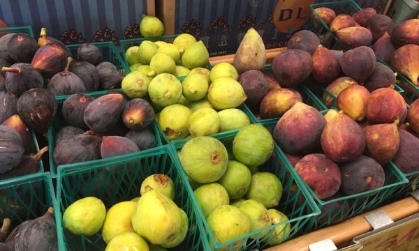 whole foods market sebastopol 2