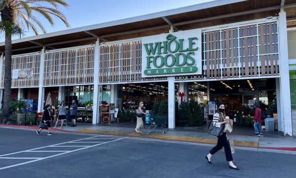 whole foods market venice